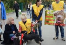 У Харкові на головній площі міста пройшла акція по захисту тварин