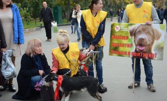 В Харькове на главной площади города прошла акция по защите животных