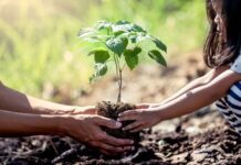 Харківська область мінімізує шкоду природі