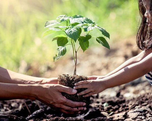 Харьковская область минимизирует вред природе