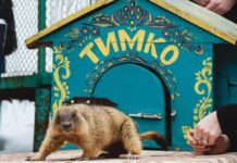 Бабак Тимко передбачив, якою буде весна