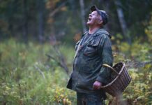 Харківські рятувальники попередили грибників про небезпеки