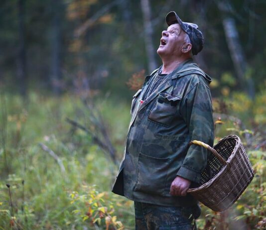 Харьковские спасатели предупредили грибников об опасностях
