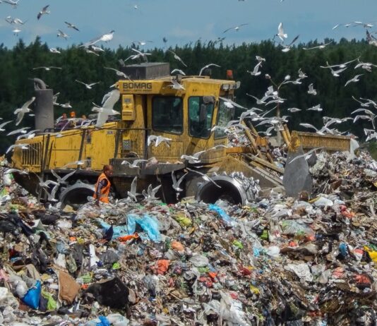 Экологический кризис в Харьковской области. На что жалуются местные?