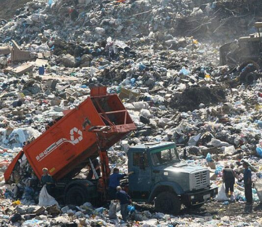 Беда, которая давно назревала. Область на пороге экологического бедствия