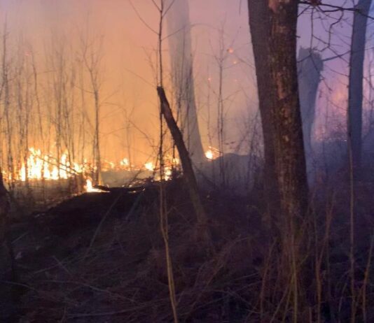Харьковщина горит: какие меры принимают активисты