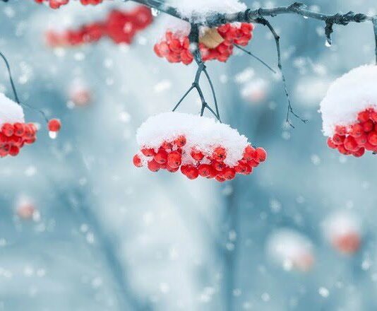 Похолодание в Харькове: -15С на выходных