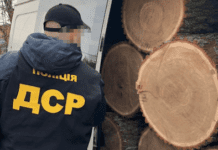Законний фінал чорних лісорубів