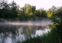 Проект “Ізюмська Лука”: чи потрібен він жителям району