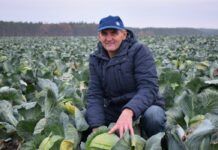 Харків`янам на замітку: особливості застосування гербіциду Євролайтинг