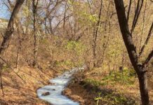 Річка Лопань стала біло-синьою: що сталося?