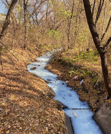 Река Лопань стала бело-синей: что случилось?