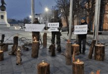 Не рубай майбутнє: як пройшла акція протесту екоактивістів у Харкові