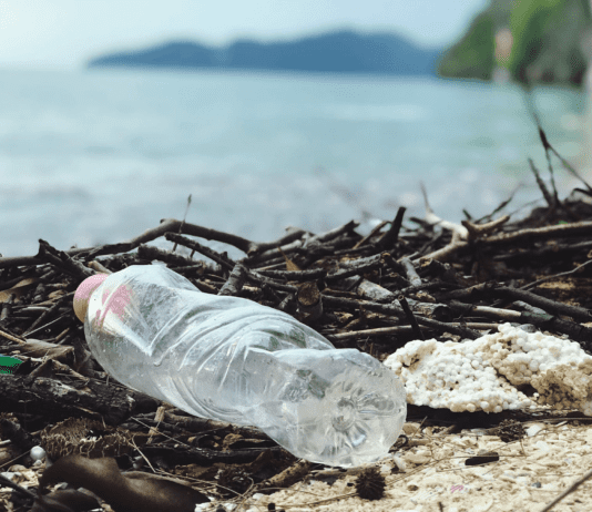 Очистка русла реки Немышля: как проводились работы?