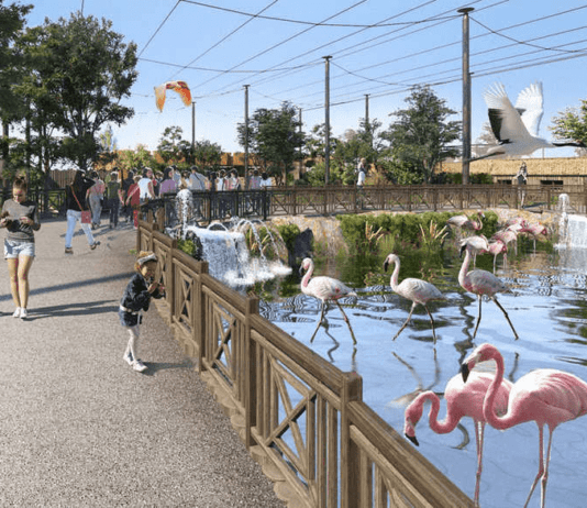 Увлекательное путешествие в мир животных