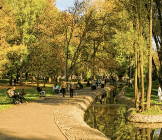 Опавшие листья: польза или угроза