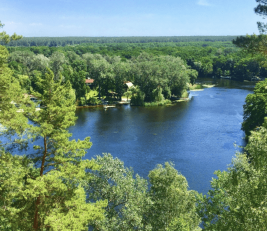 «Гомольшанские леса»: национальный природный парк на Харьковщине