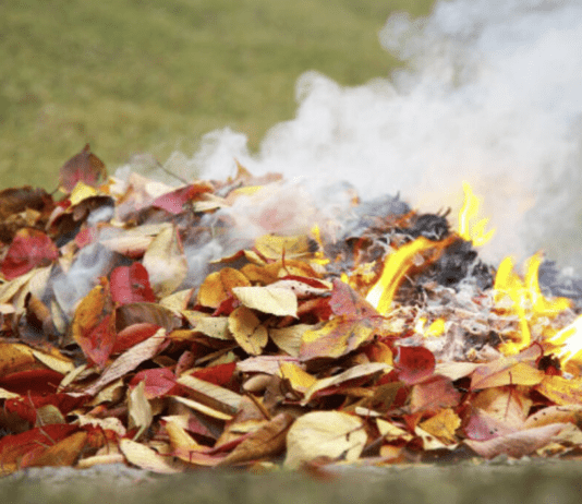 Экологические решения: утилизация опавших листьев