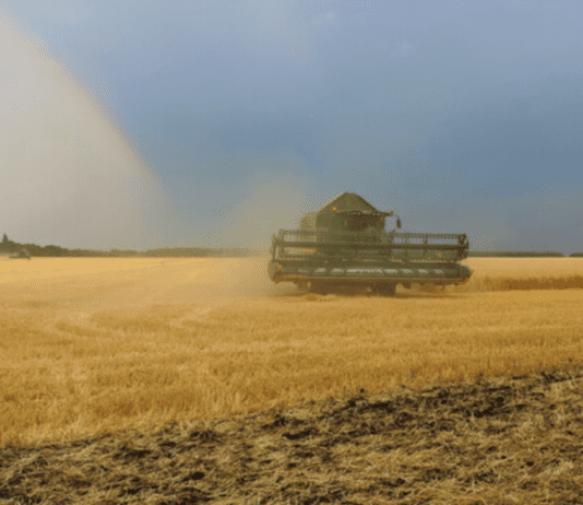 Годы рекордных урожаев в Харьковской области
