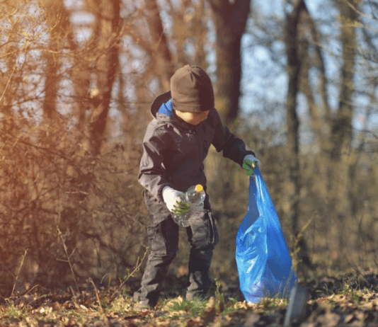 Как харьковчане приобщаются к сохранению окружающей среды