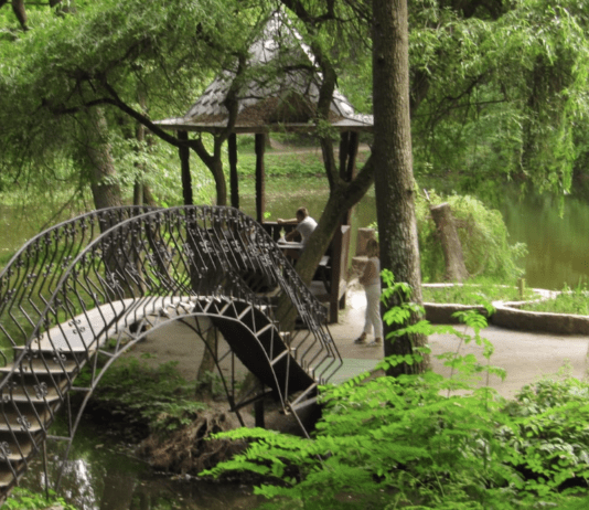 Краснокутский дендропарк — известная достопримечательность Харьковской области