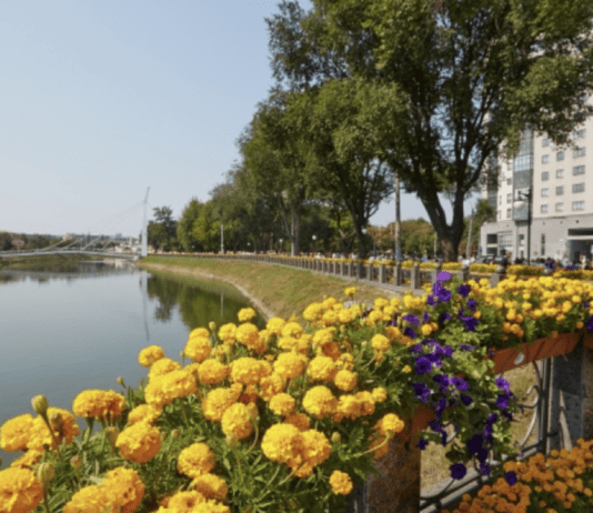 Наиболее популярные растения Харькова