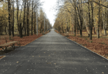 Парк Зелений гай – затишне місце для прогулянок