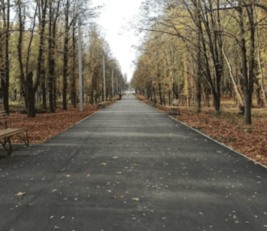 Парк Зеленый гай — уютное место для прогулок