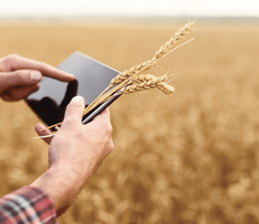 Цифровизация в аграрной сфере: активное развитие в Харьковской области