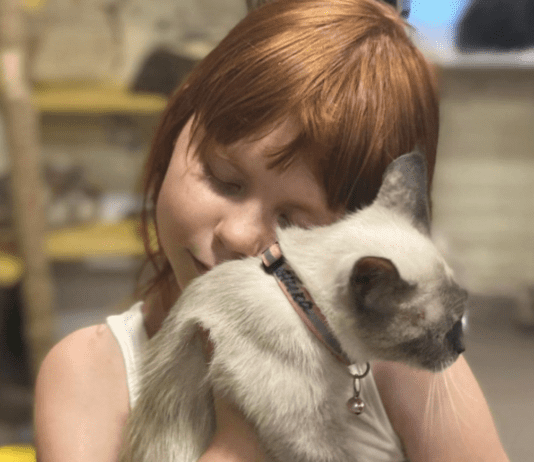 Оккупация зверя: маленькие истории большого спасения