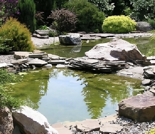 Интересные факты о харьковском ботаническом саду