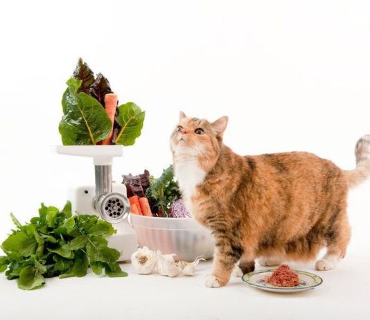 Минеральное питание животных: важность микро- и макроэлементов