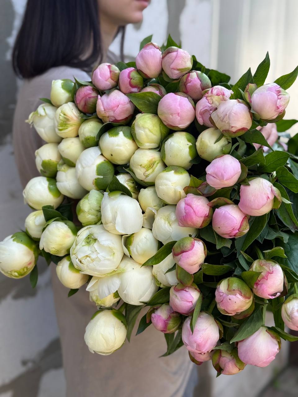 Доставка квітів Харків FLORITY — Florist