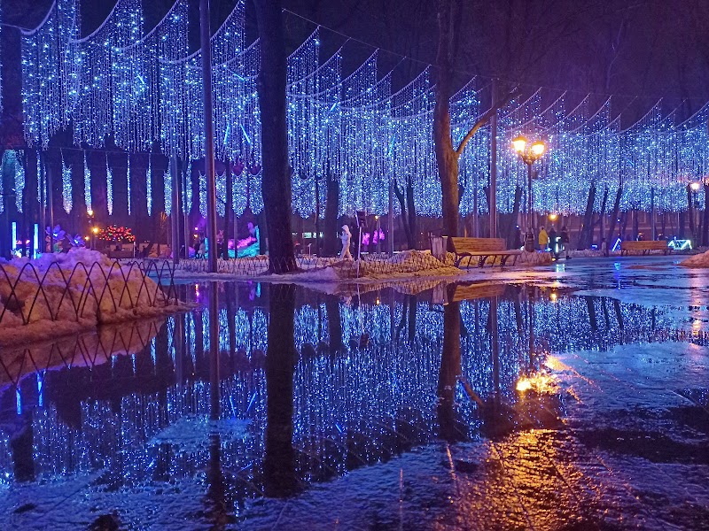 Fantasy Park