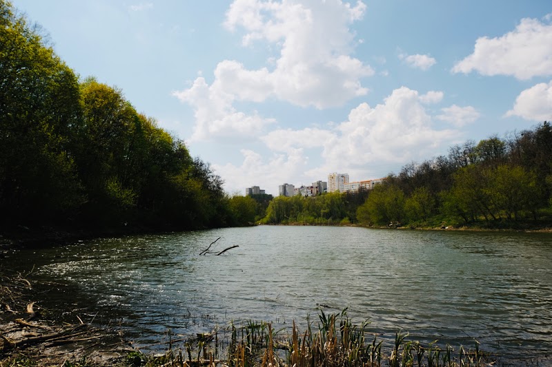 Лисопарк