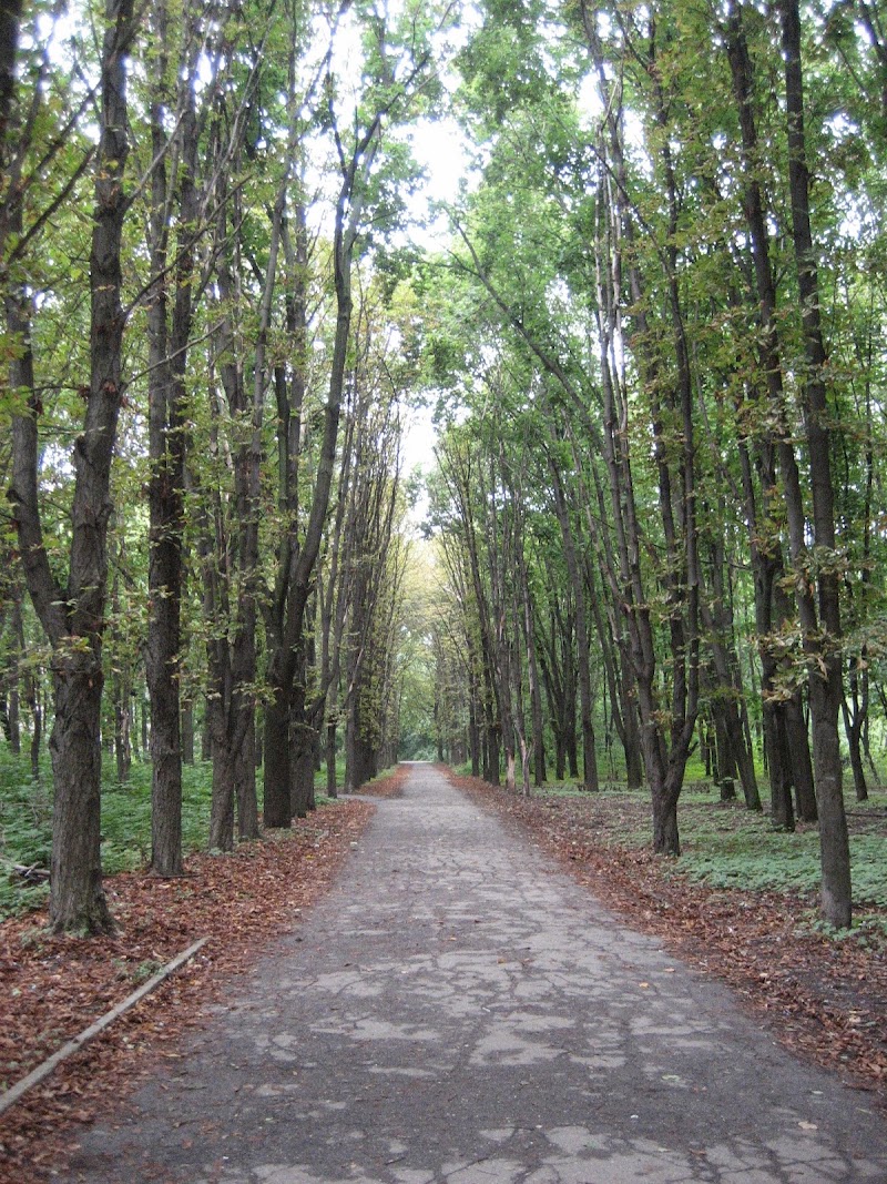 Лисопарк