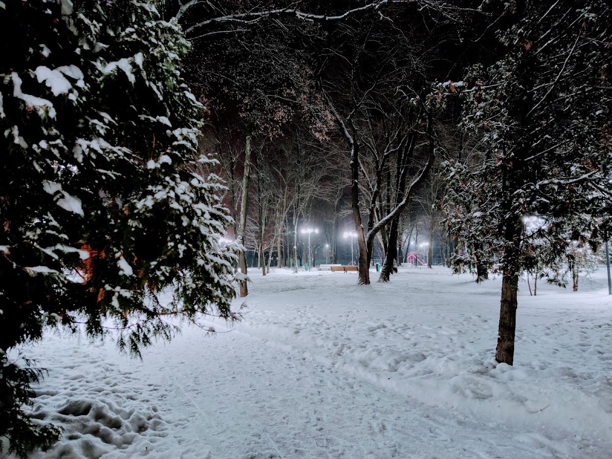 Молодіжний парк — Park