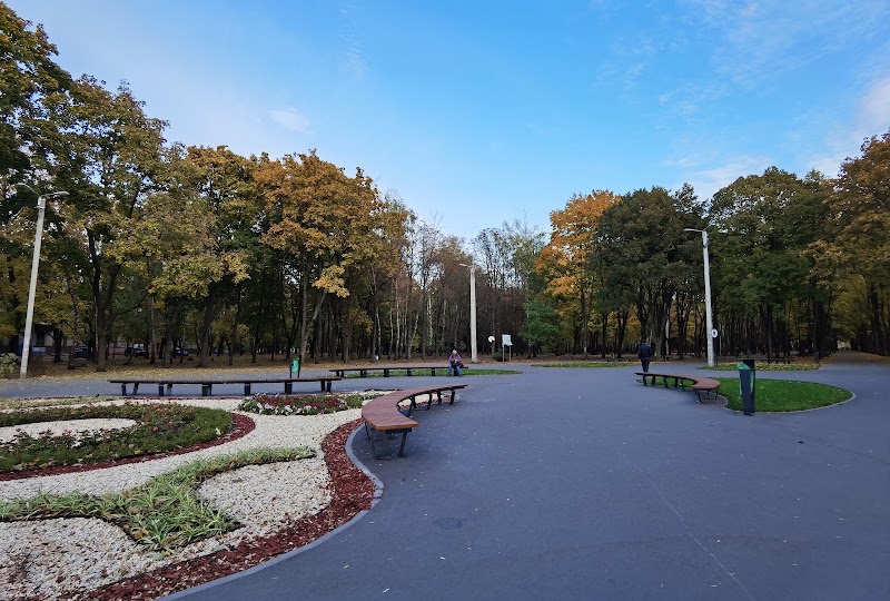 Зелений гай