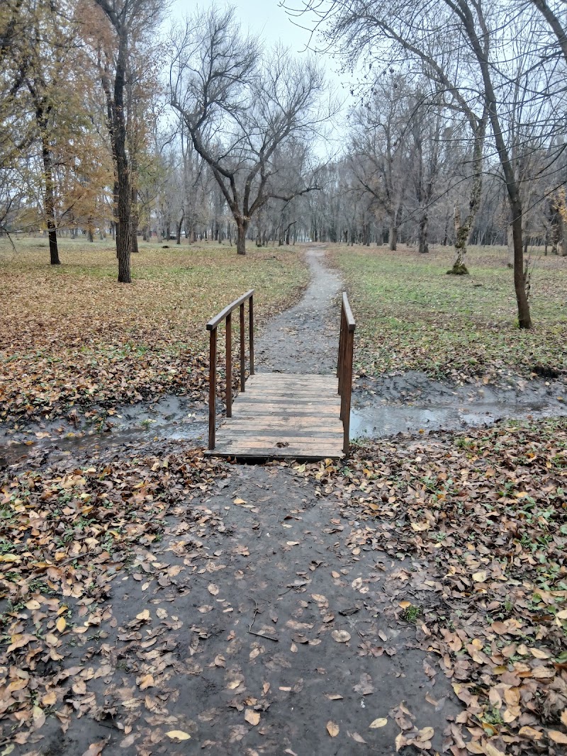 Зелений гай