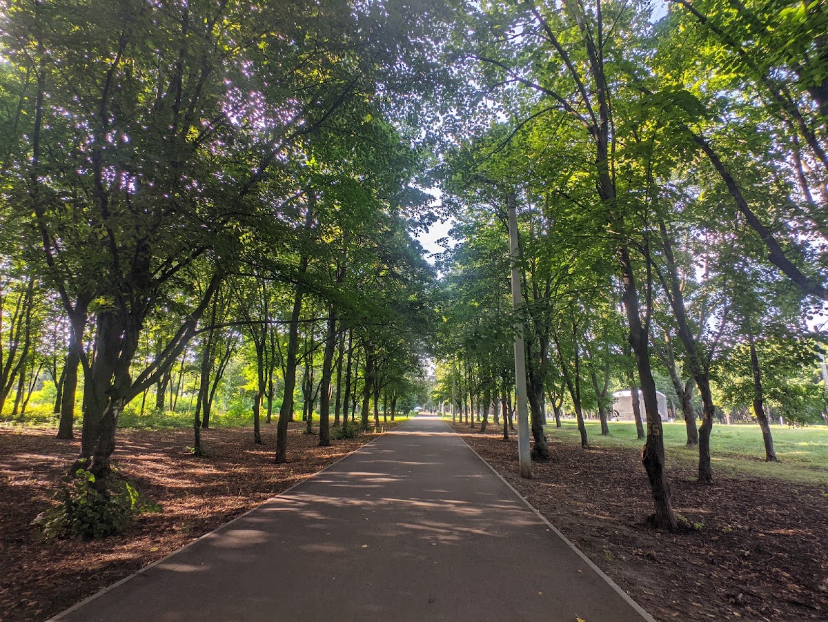 Зелений гай — Park