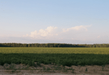 Почвы Харьковской области